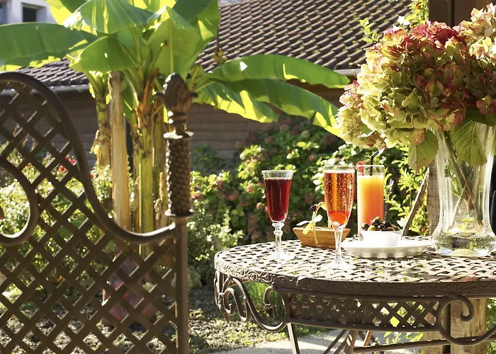 Hôtel accueillant les animaux: Le Continental